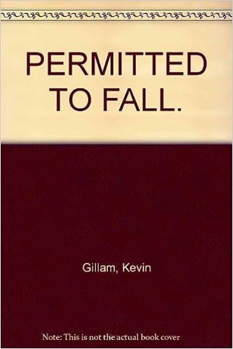 Andrew Burns reviews Permitted To Fall by Kevin Gillam