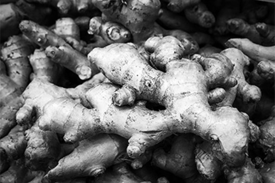 Paradise, a poem by Michael Hofmann