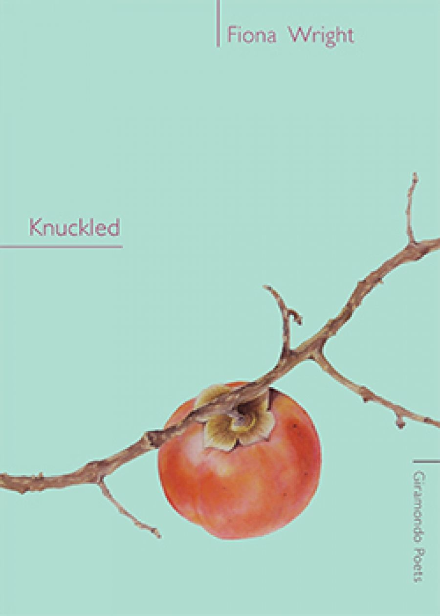 Rose Lucas reviews Knuckled by Fiona Wright