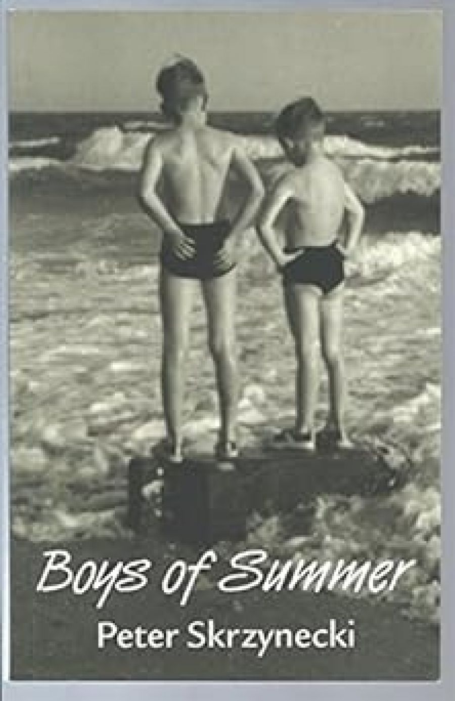Gillian Dooley reviews Boys of Summer by Peter Skrzynecki