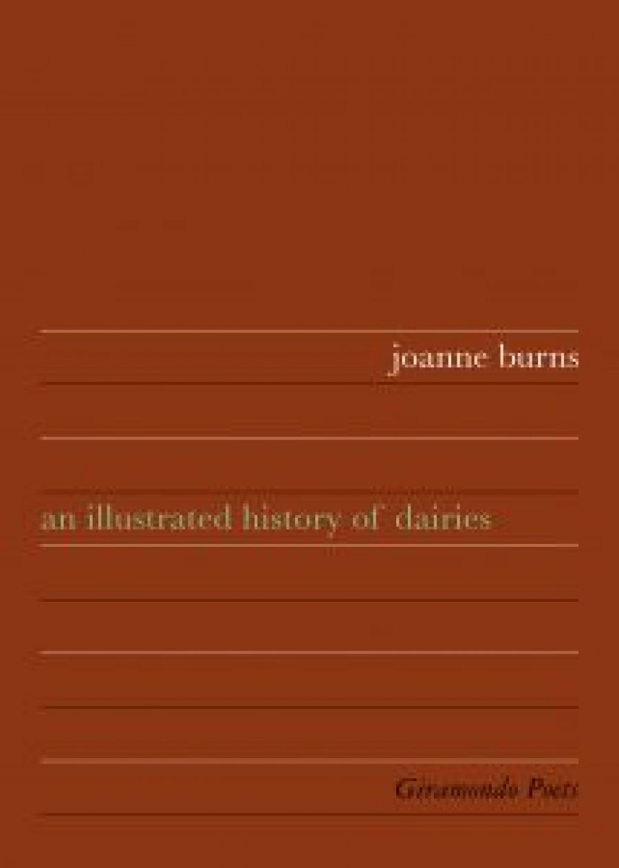 Susan Sheridan reviews An Illustrated History of Dairies by joanne burns