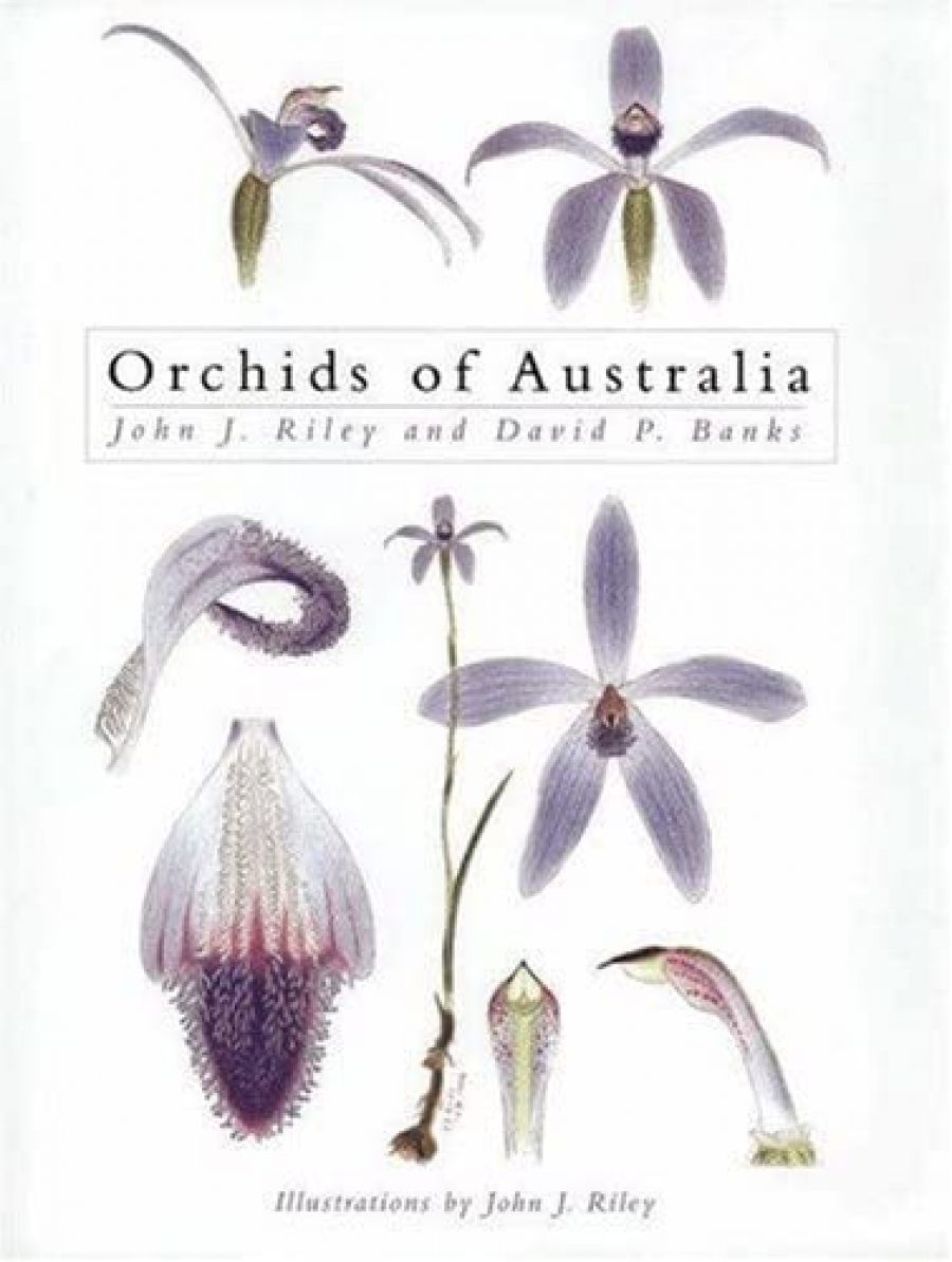 Silas Clifford-Smith reviews Orchids of Australia by John J. Riley and David P. Banks