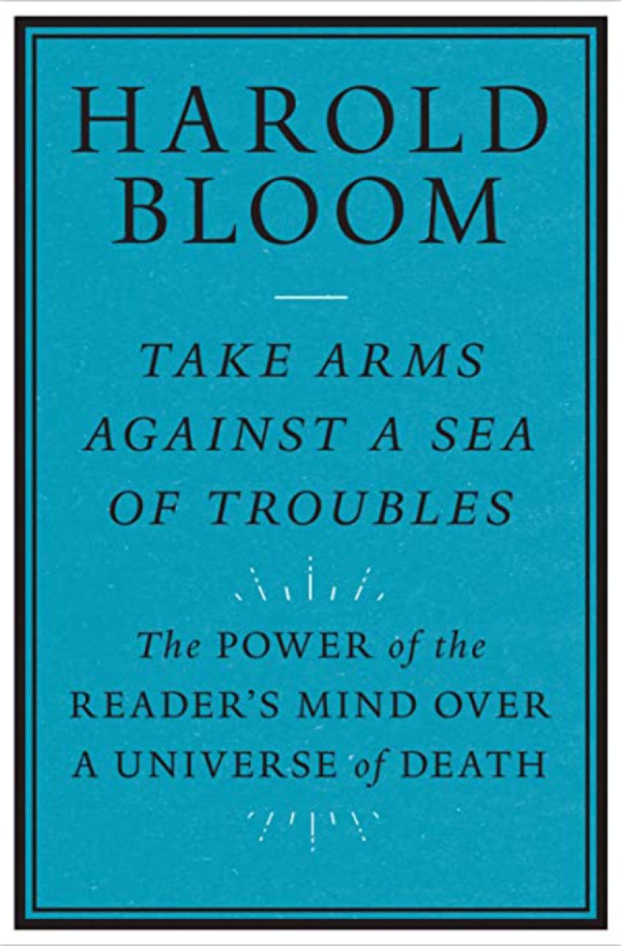 James Ley reviews Take Arms Against a Sea of Troubles: The power of the reader’s mind over a universe of death by Harold Bloom