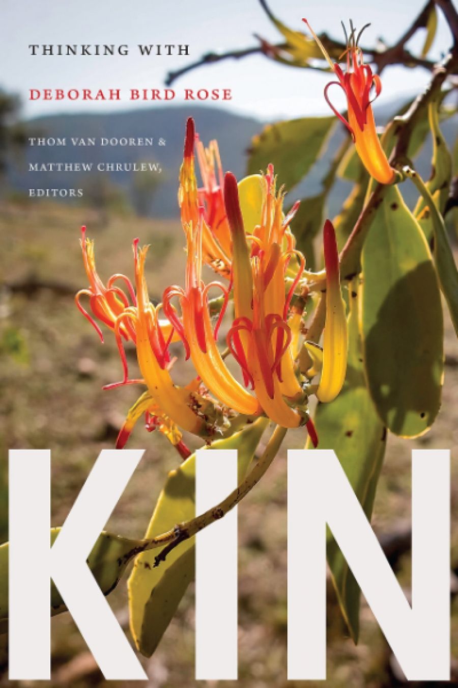 Prithvi Varatharajan reviews Kin: Thinking with Deborah Bird Rose edited by Thom van Dooren and Matthew Chrulew