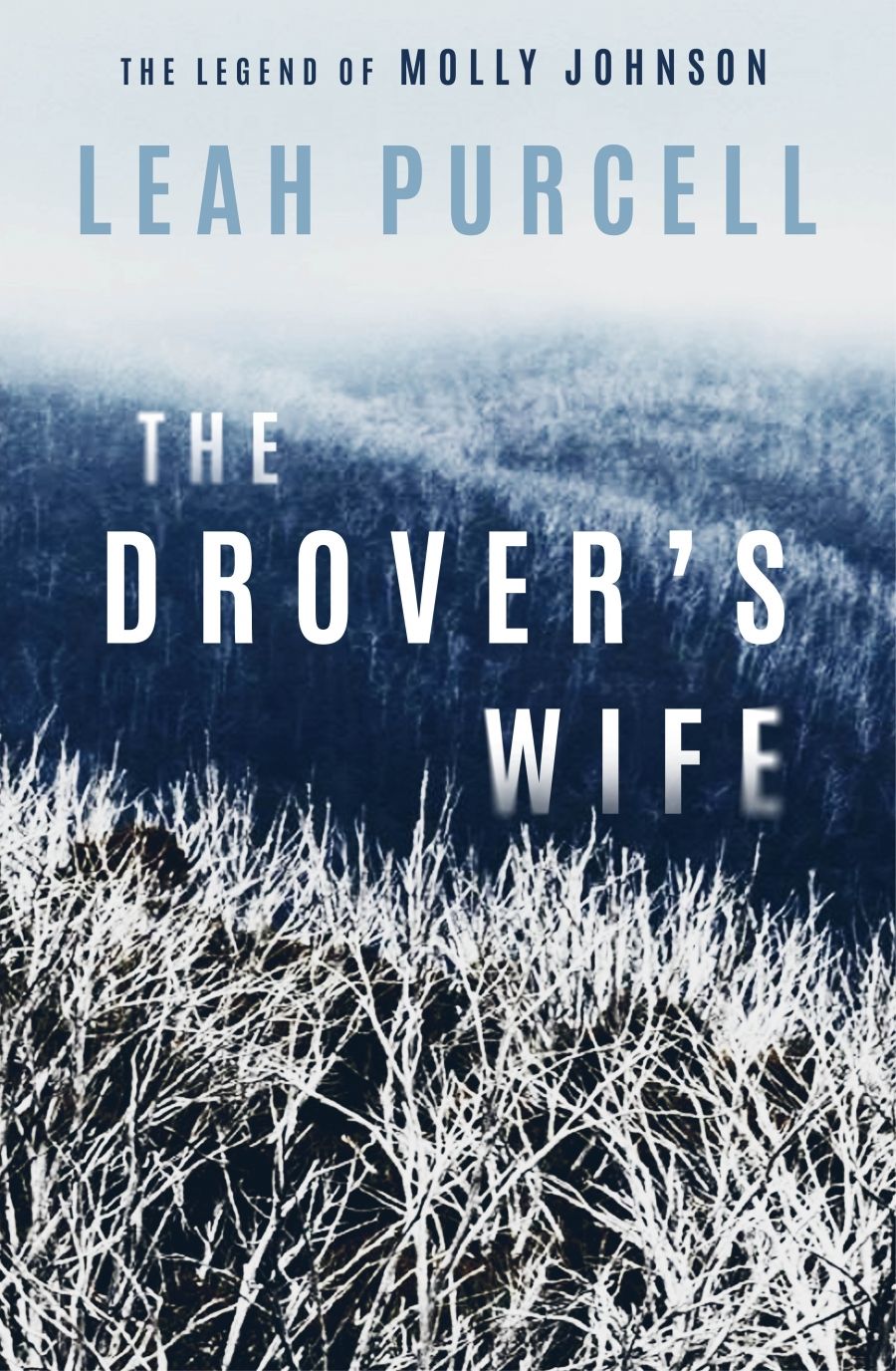 Ellen van Neerven reviews The Drover’s Wife: The legend of Molly Johnson by Leah Purcell