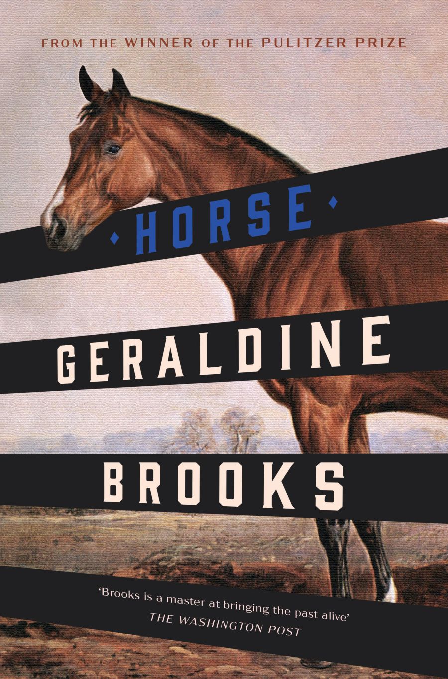 Peter Craven reviews Horse by Geraldine Brooks