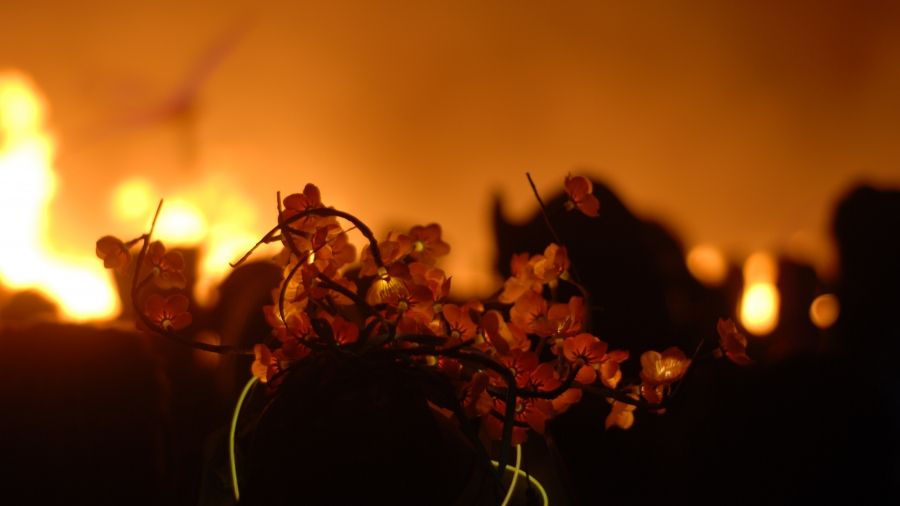 Coins, Glass, Nails, Pottery, Cinders, a new poem by Joan Fleming