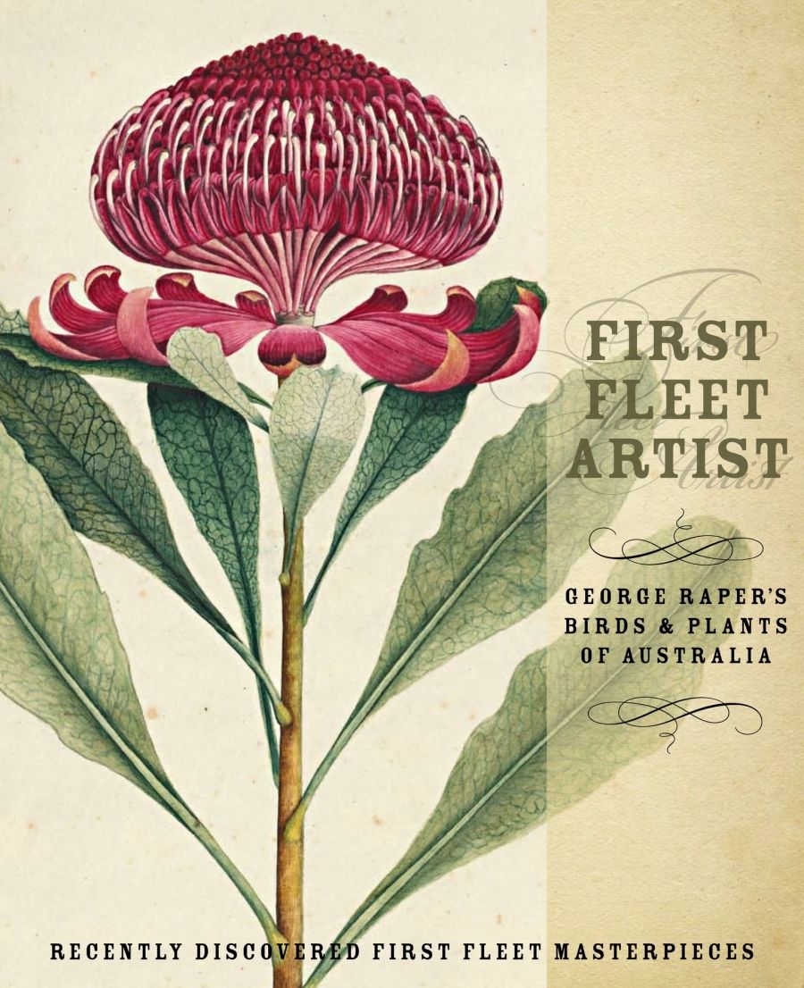 John Thompson reviews First Fleet Artist: George Raper’s birds and plants of Australia by Linda Groom