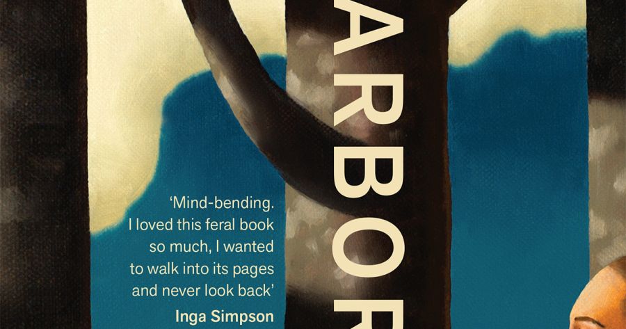 Joseph Steinberg reviews ‘Arborescence’ by Rhett Davis