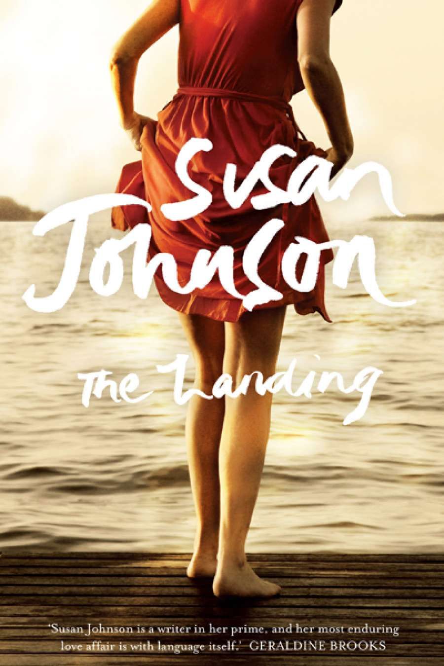 Anthony Lynch reviews The Landing by Susan Johnson