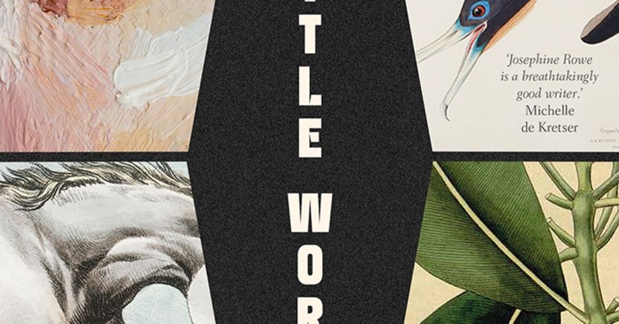 Maria Takolander reviews ‘Little World’ by Josephine Rowe
