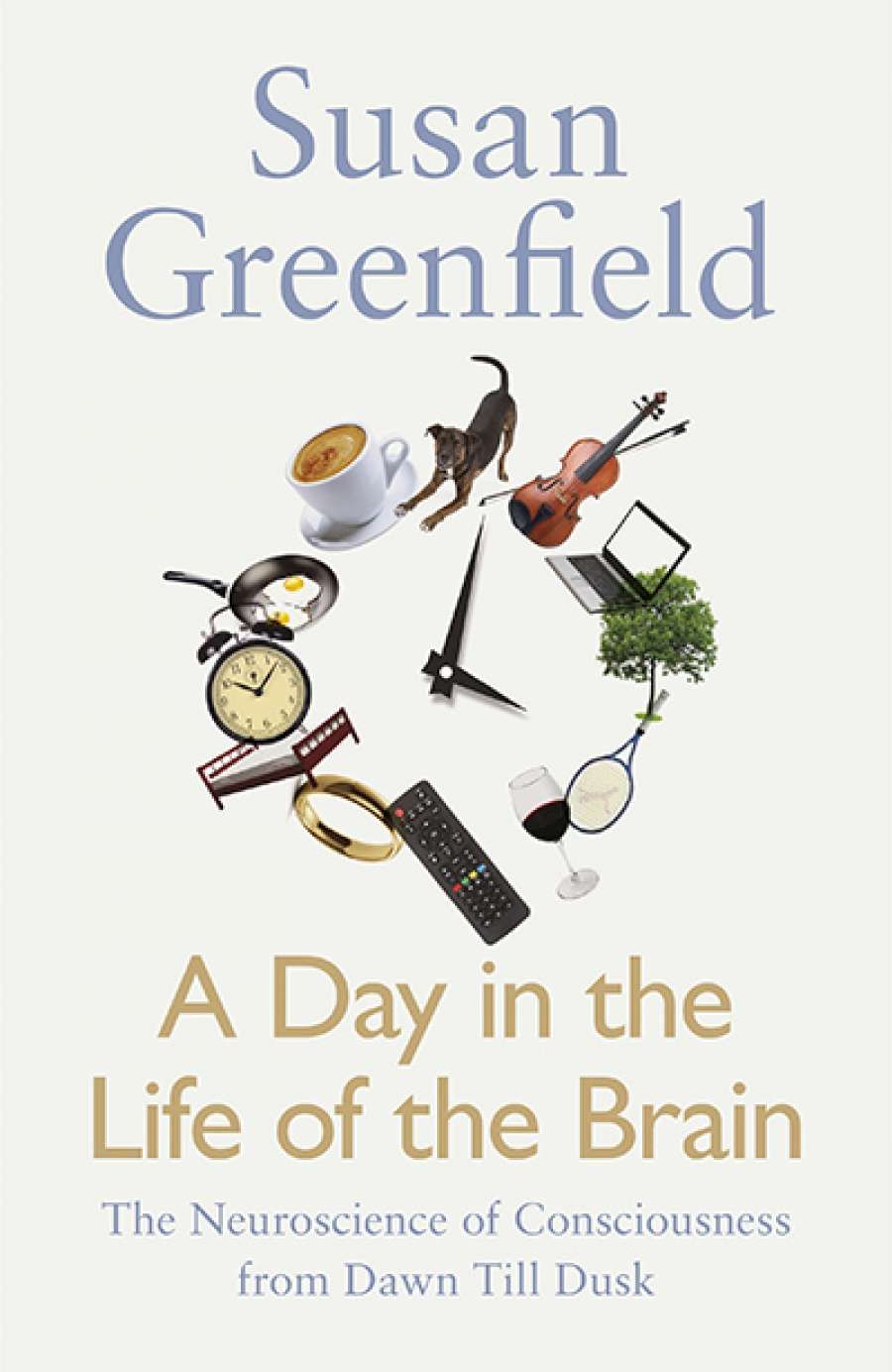 Nick Haslam reviews A Day in the Life of the Brain: The neuroscience of consciousness from dawn till dusk by Susan Greenfield