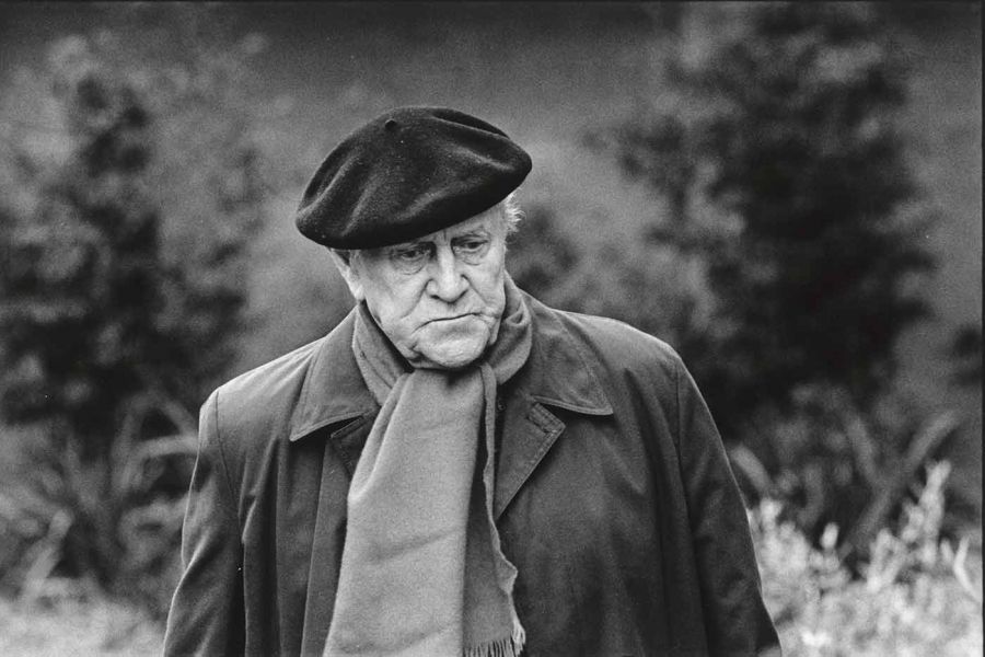 Patrick White and literary criticism by Veronica Brady