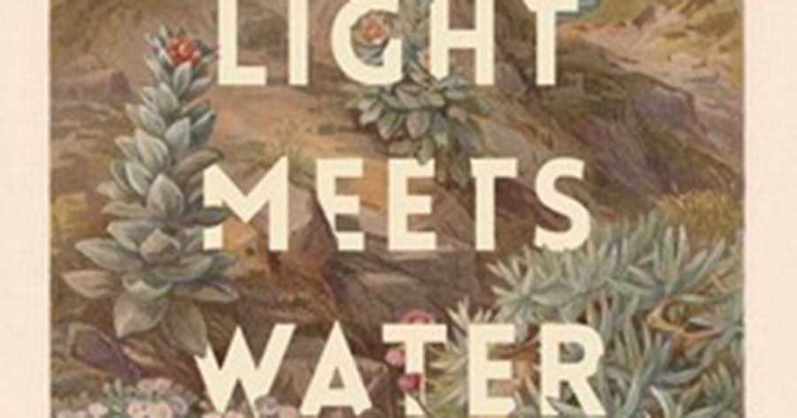 Susan Midalia reviews Where Light Meets Water by Susan Paterson