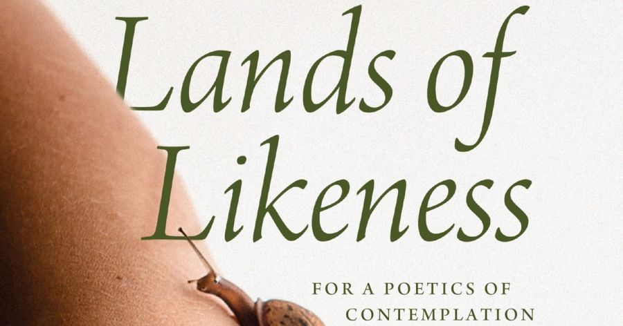 Scott Stephens reviews ‘Lands of Likeness: For a poetics of contemplation’ by Kevin Hart