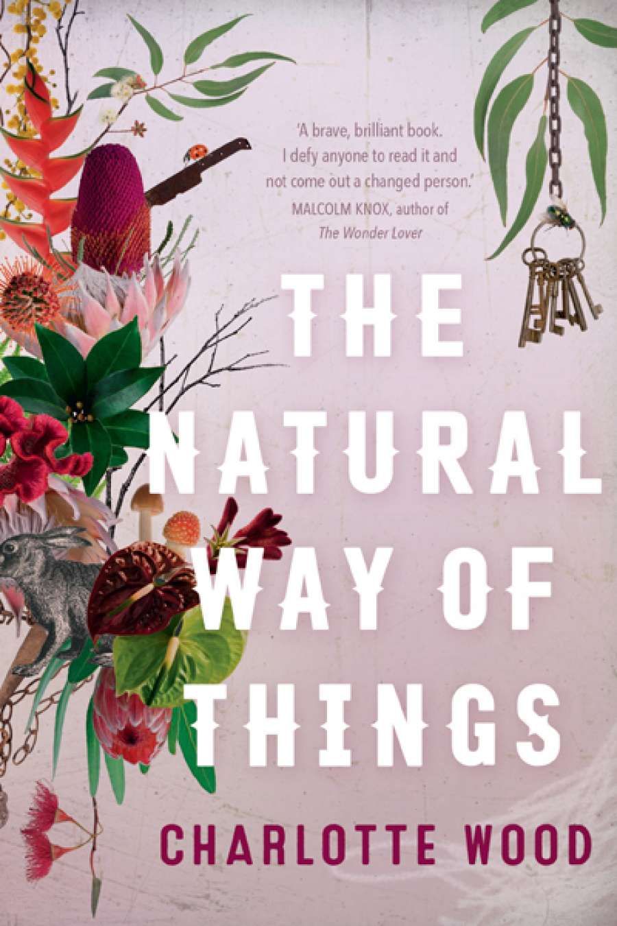 Susan Lever reviews The Natural Way of Things by Charlotte Wood