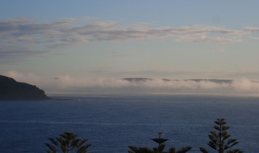 Reading the Conditions, a new poem by Anthony Lawrence