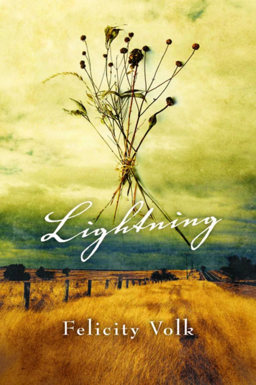 Alison Broinowski reviews Lighting by Felicity Volk