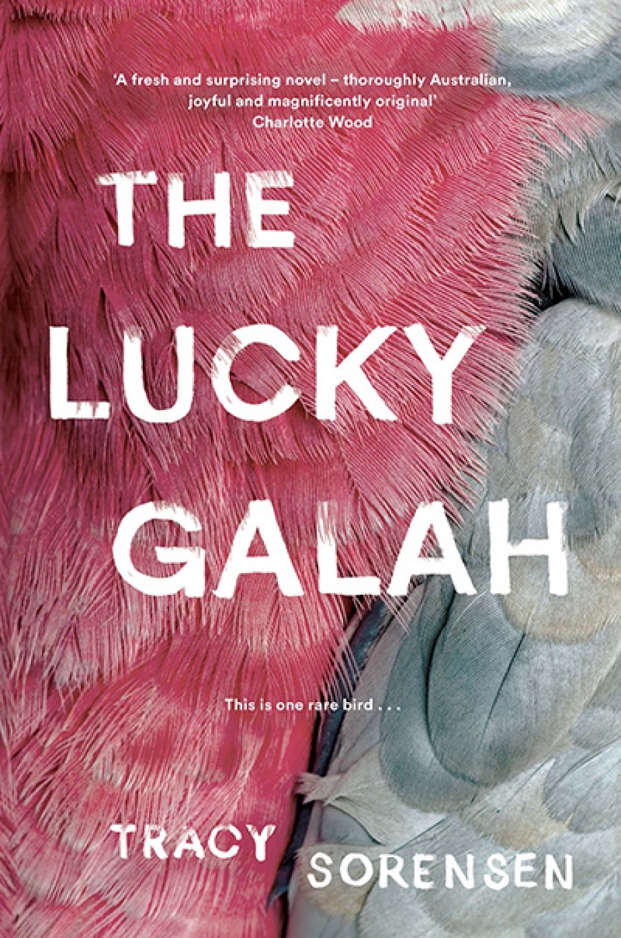 Josephine Taylor reviews The Lucky Galah by Tracy Sorensen