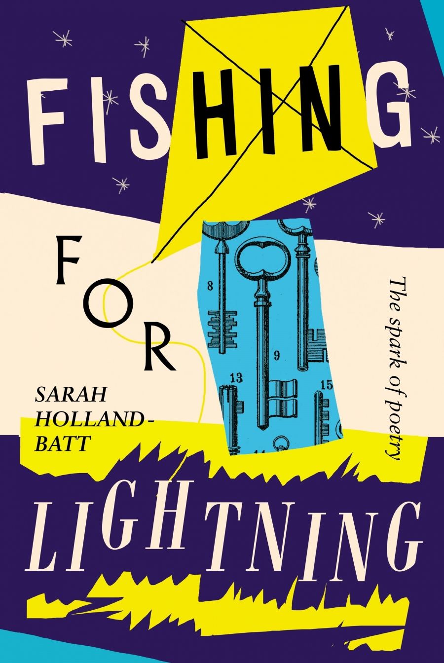 David McCooey reviews Fishing for Lightning: The spark of poetry by Sarah Holland-Batt