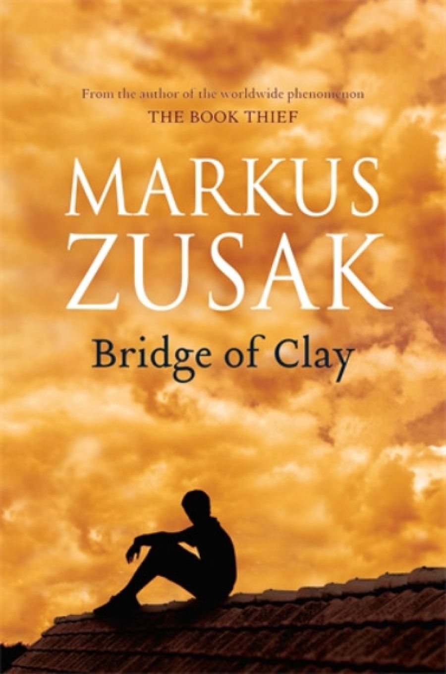 Nicole Abadee reviews Bridge of Clay by Markus Zusak