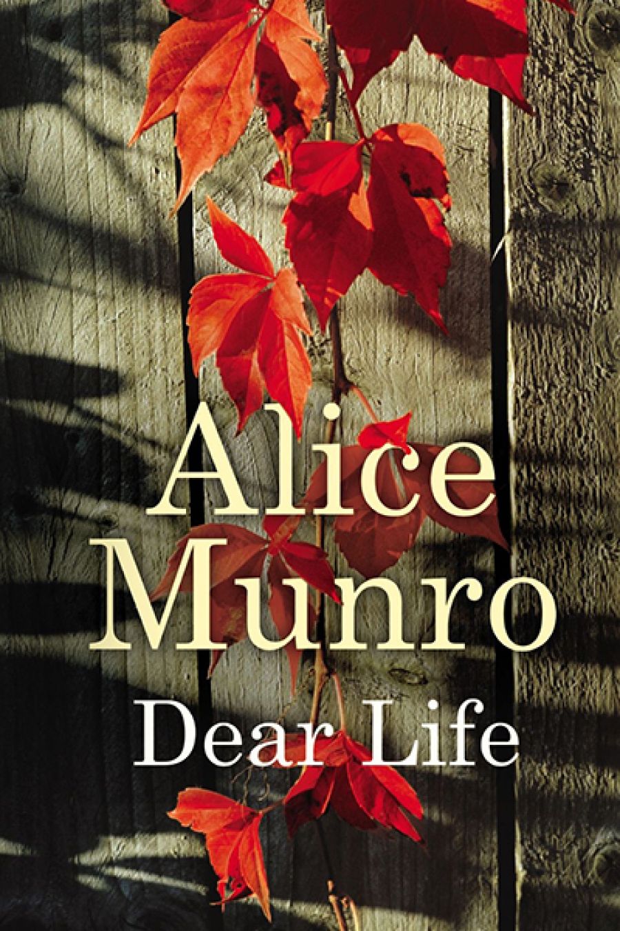 Melinda Harvey reviews Dear Life by Alice Munro